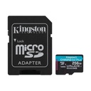 SDCG3/256GB microSDXC Canvas Go Plus 170R A2 U3 V30 Card