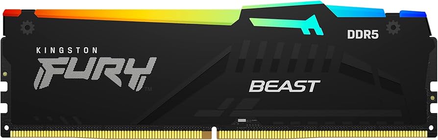 DDR5 5600MT 16GB DIMM Negra Fury Beast  RGB