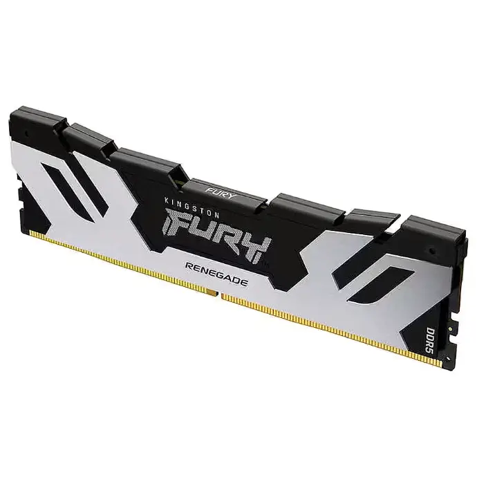 DDR5 7200MT 16GB DIMM Renegade Negra