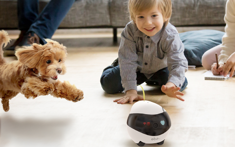 ENABOT AIR HOME SECURITY